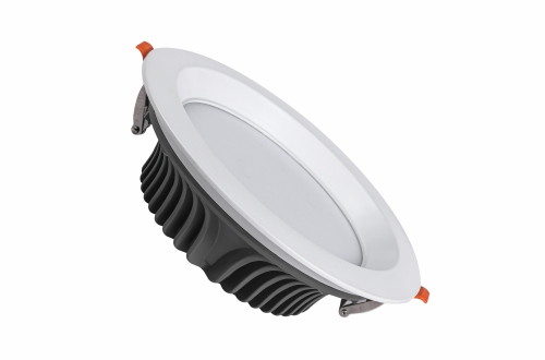 LED Down Light OS-DL004P SMD