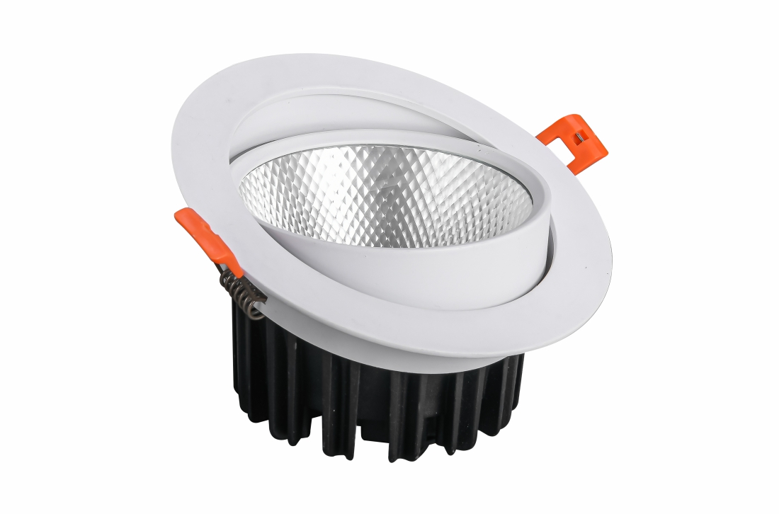 LED Spot Light OS-SL089